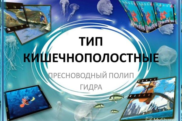 Рабочий сайт kraken