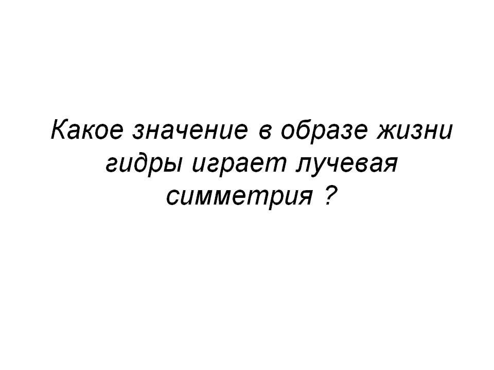 Kra40.at