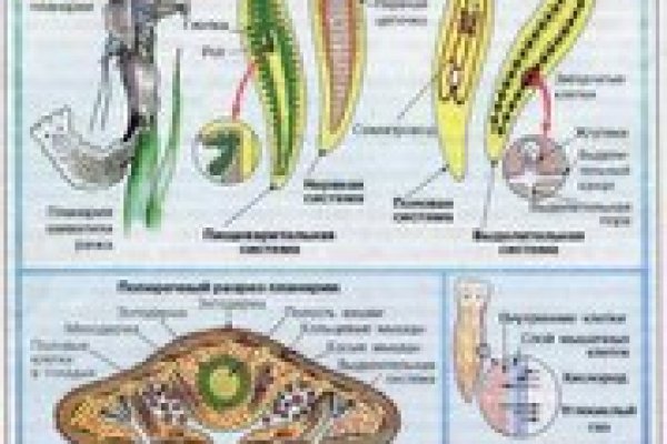 Кракен наркологический