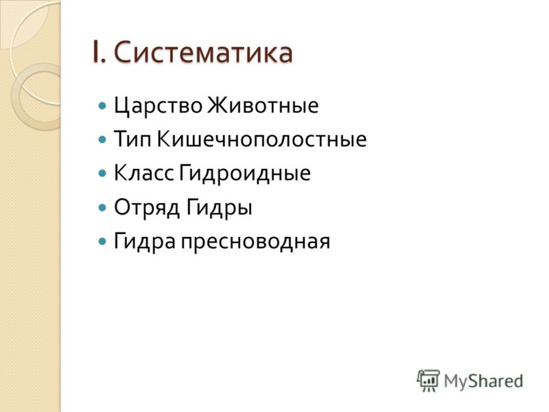 Официальный сайт даркнета