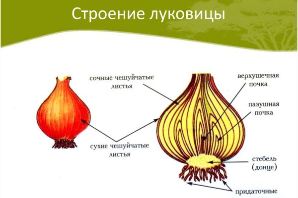Ссылки зеркала на kraken